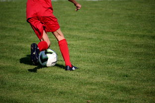 九游体育-基层足球赛事体系未形成闭环,足球联赛实施方案 第2张